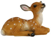 Deer Product