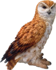 Owl Product
