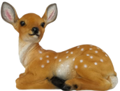 Deer Product