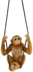 Monkey Product