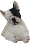Dog Product