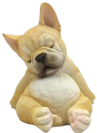 Dog Product