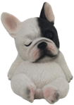 Dog Product