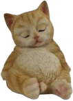 Cat Product