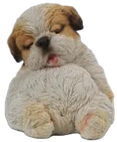 Dog Product