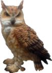 Owl Product