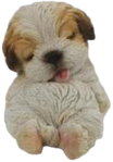 Dog Product