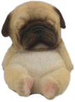 Dog Product