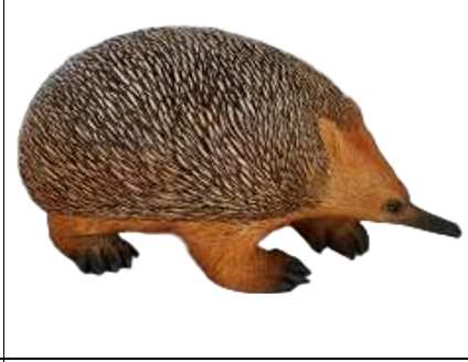 Hedgehog Product