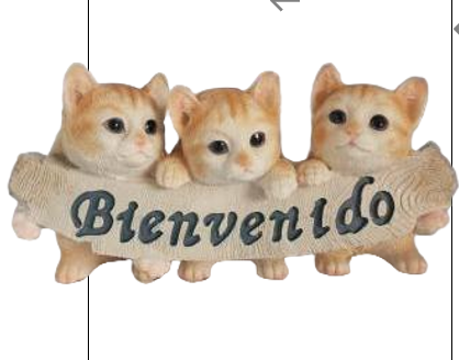 Cat Product