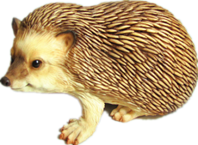 Hedgehog Product