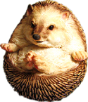 Hedgehog Product