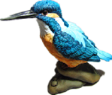 Bird Product