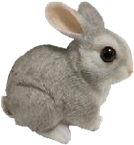 Rabbit Product