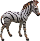 Zebra Product