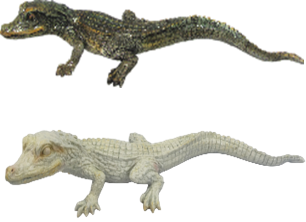Crocodile Product