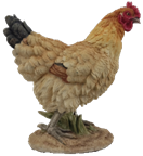 Chicken Product