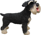 Dog Product