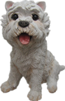 Dog Product