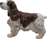 Dog Product