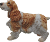 Dog Product