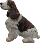 Dog Product