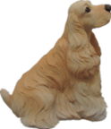Dog Product