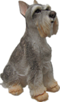 Dog Product