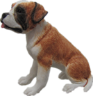 Dog Product