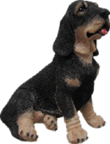 Dog Product