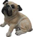 Dog Product