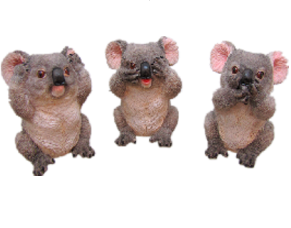 Koala Product