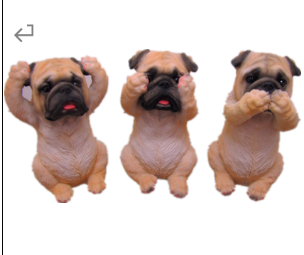 Dog Product