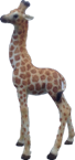 Giraffe Product