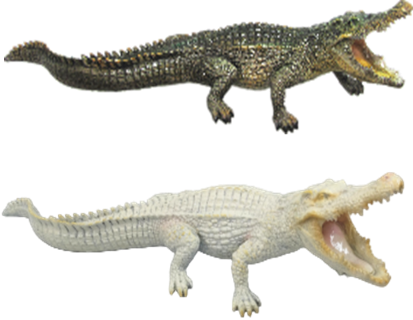 Crocodile Product