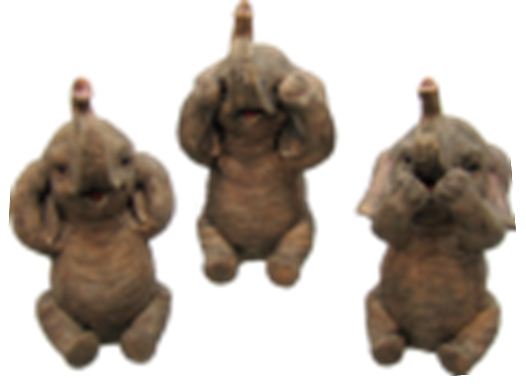 Elephant Product