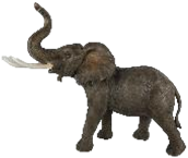 Elephant Product