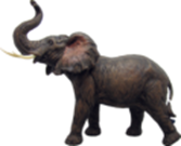 Elephant Product