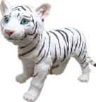 Tiger Product
