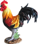 Chicken Product