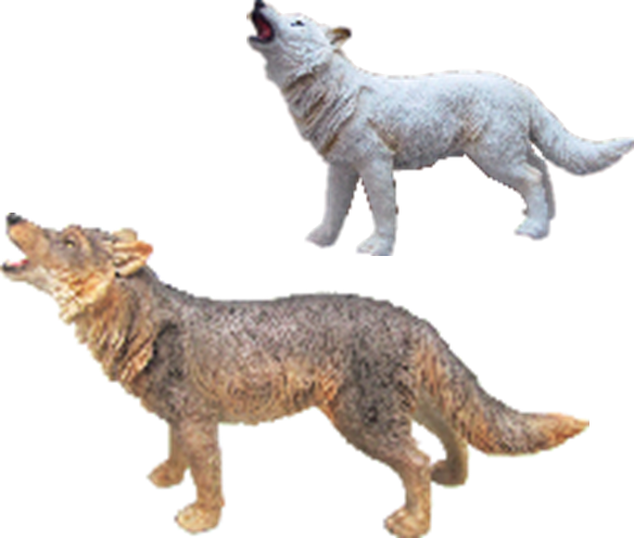 Wolf Product