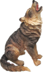 Wolf Product