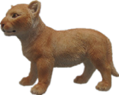 Lion Product