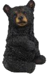 Black Bear Product
