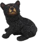 Black Bear Product
