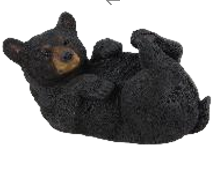 Black Bear Product