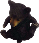 Black Bear Product