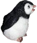 Penguin Product