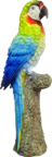 Bird Product