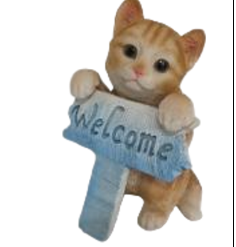 Cat Product